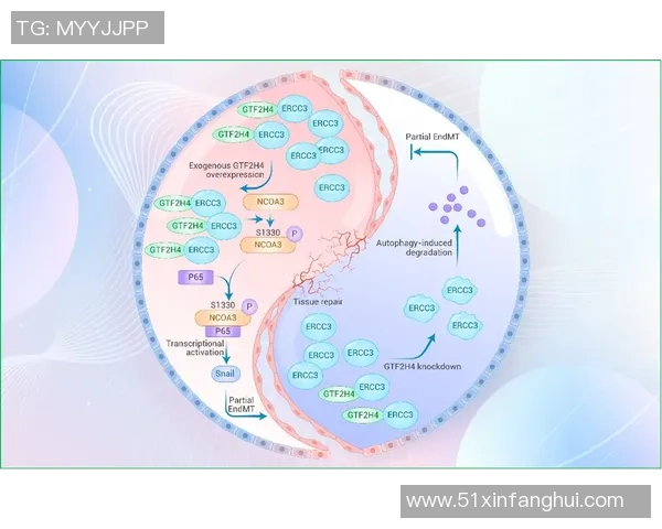 西安网球队在欧锦赛中的战术意识与团队配合全面解析
